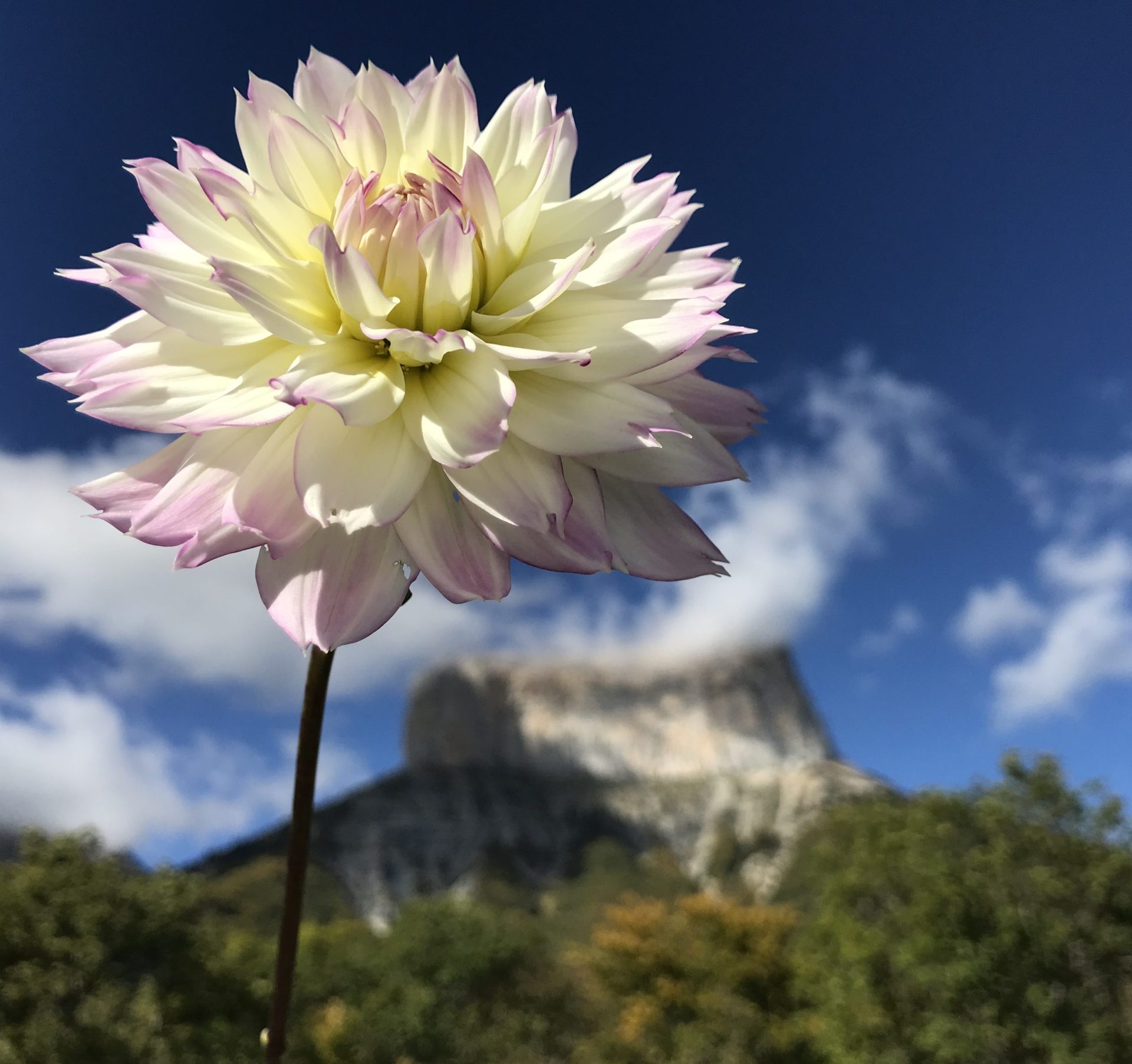 Les Jardins de Traverses